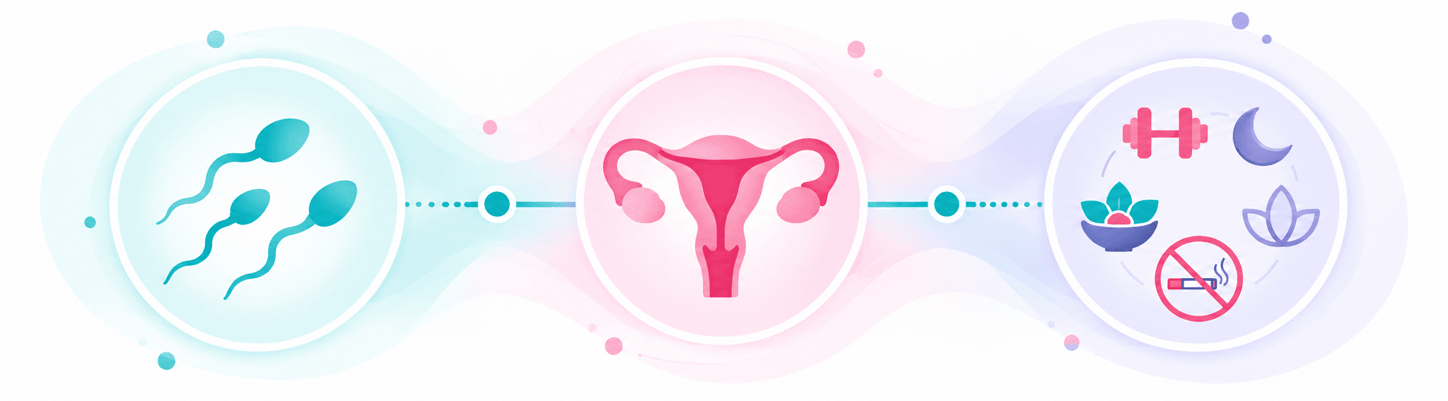 Fertility factors showing male-factor contribution, weight and ovulation, and lifestyle exposures